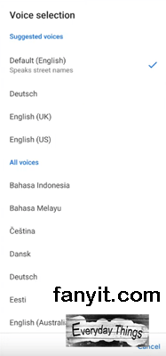 Google Voice Supported voice