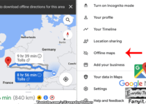 How to download and use offline Google Maps